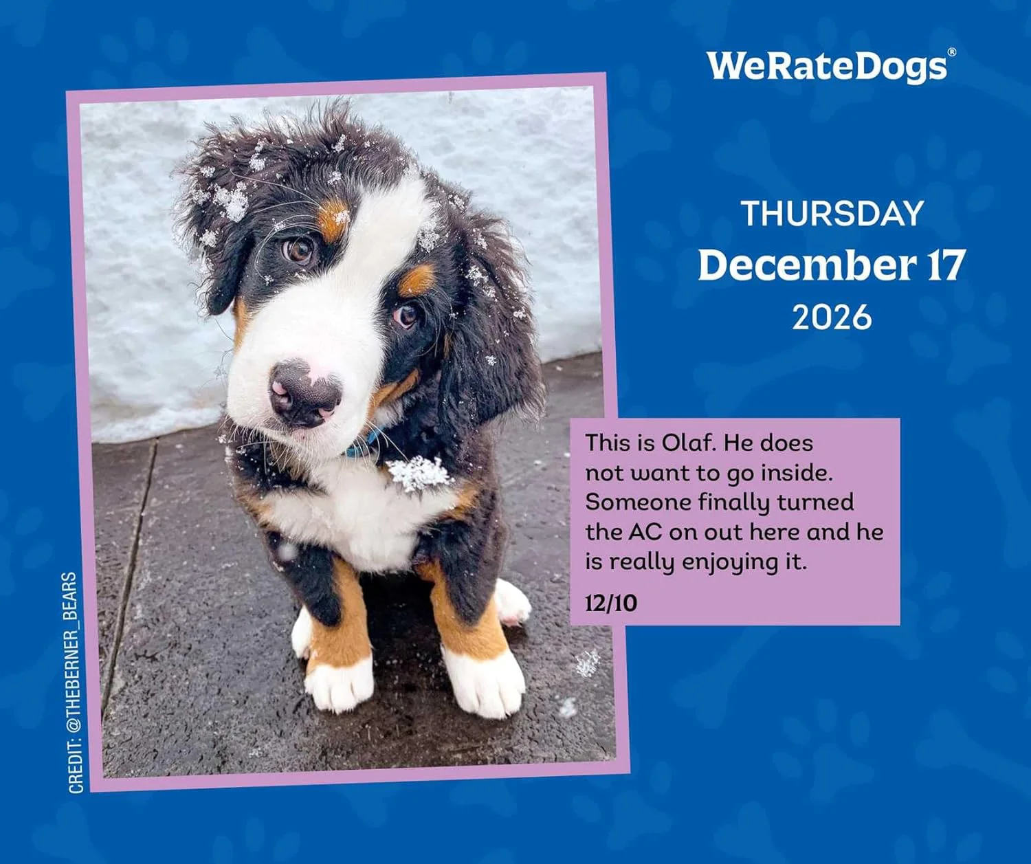 2026 WeRateDogs Day-to-Day Calendar - Image 5