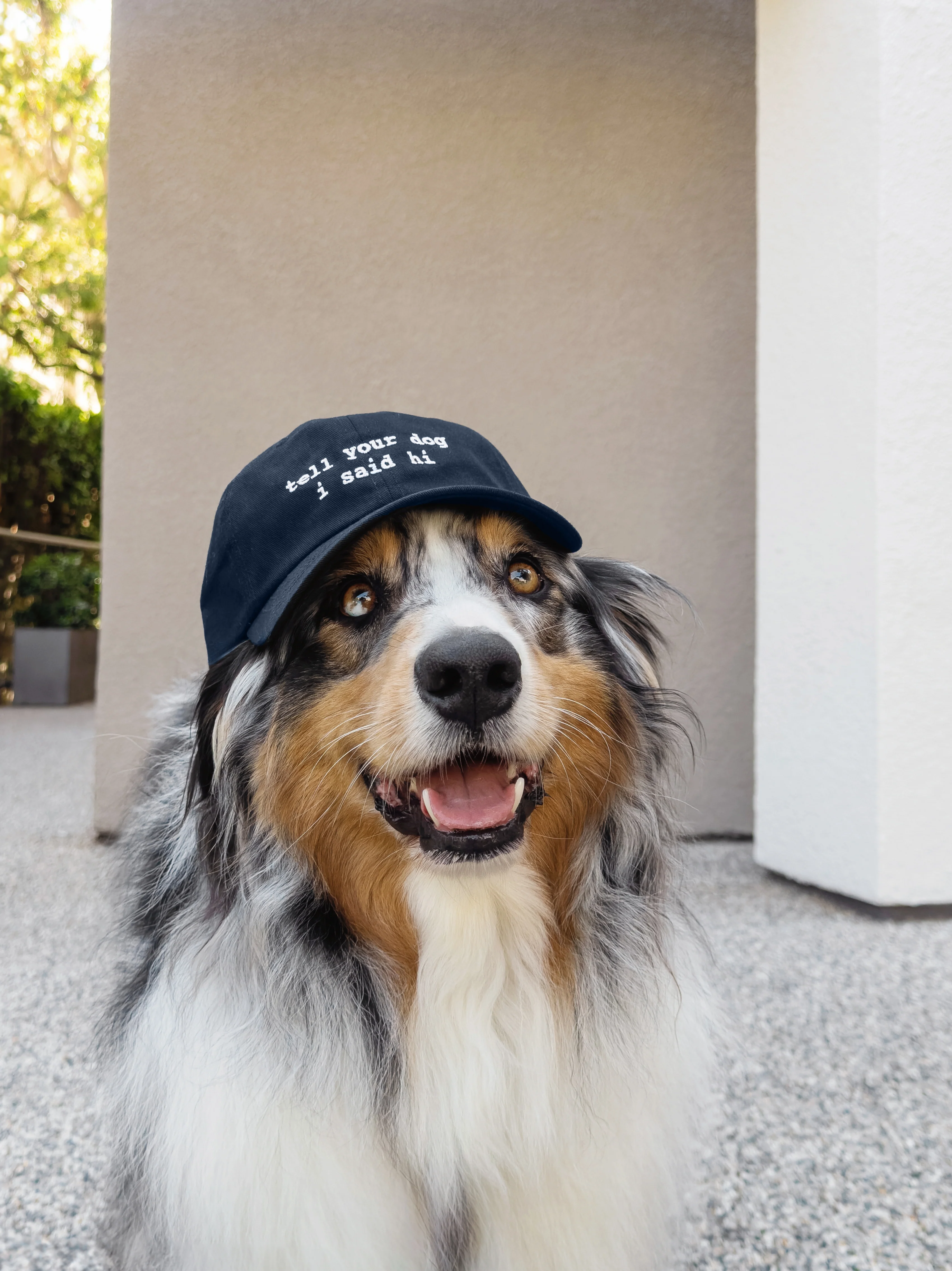 Lowercase TYDISH Hat - Image 3