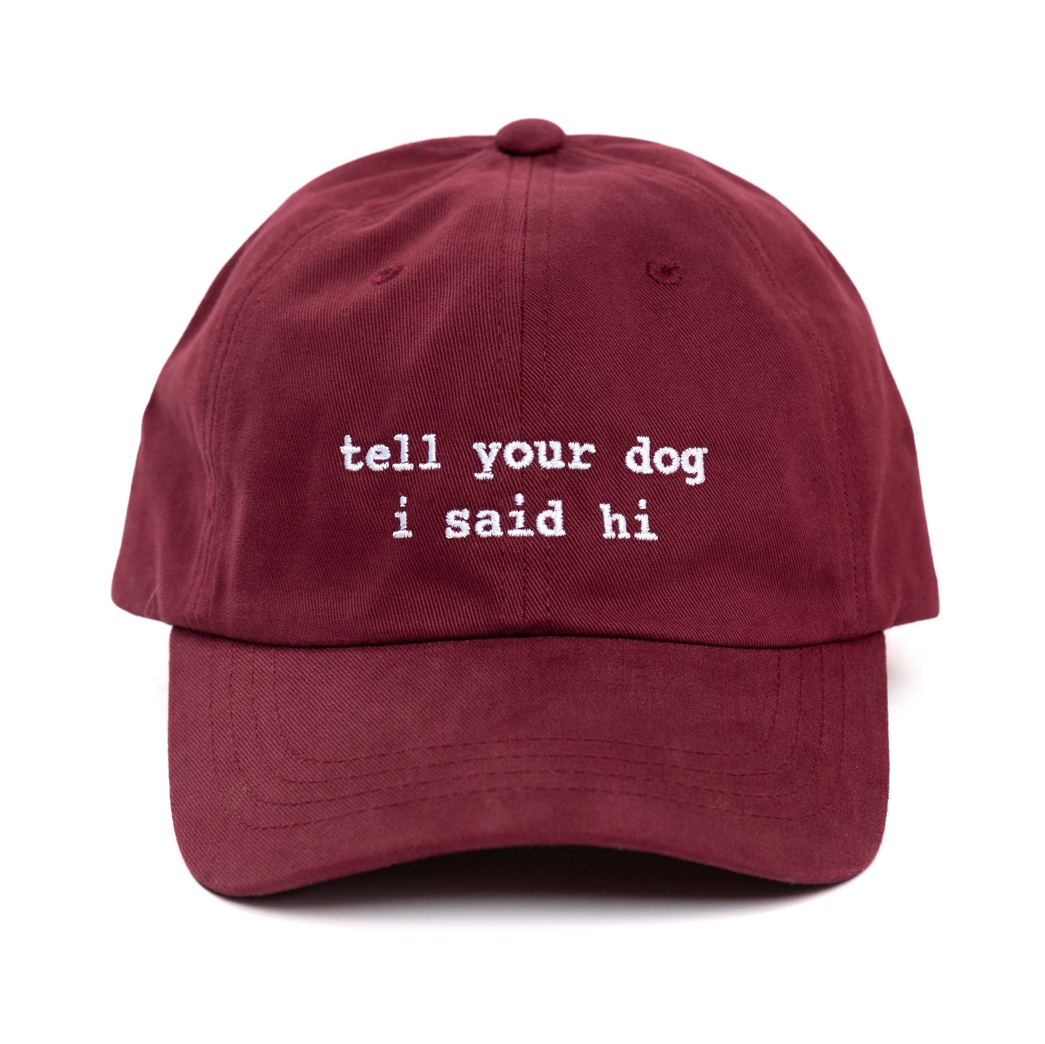 Lowercase TYDISH Hat - Image 5