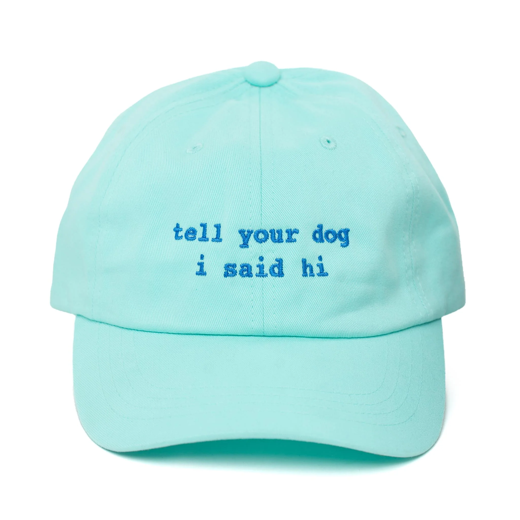 Lowercase TYDISH Hat - Image 6
