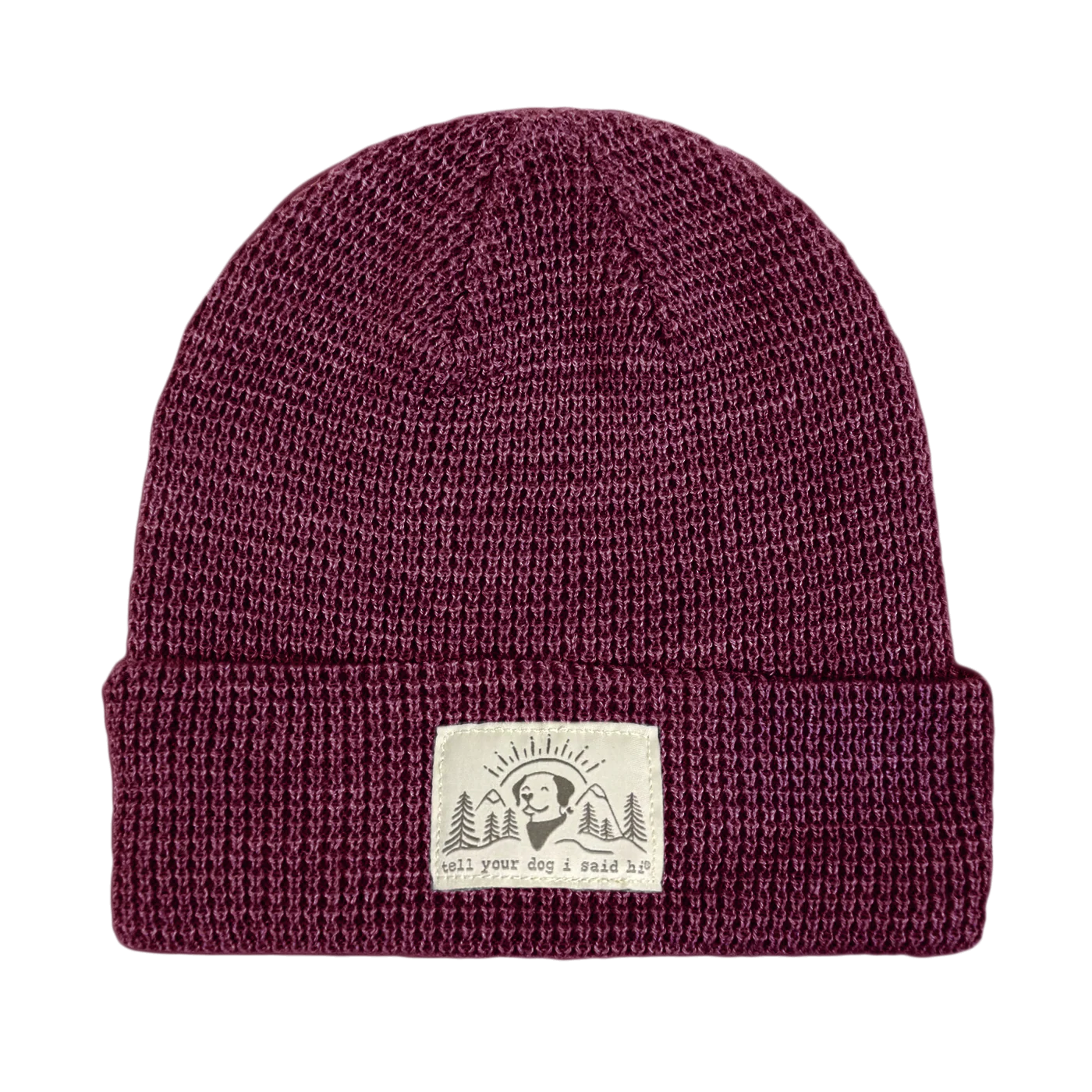 Summit Pup Waffle Beanie - Image 3