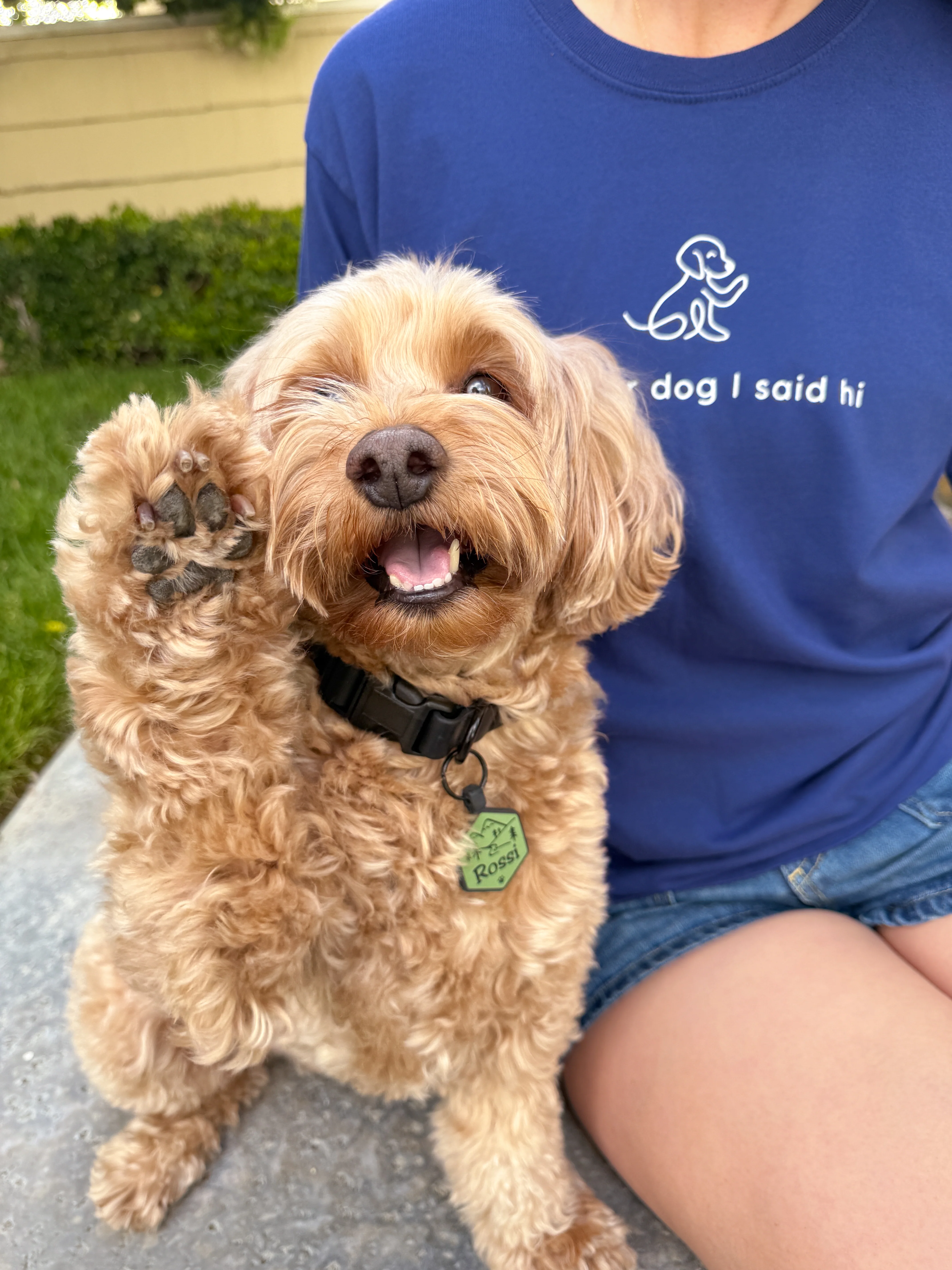 Waving Dog Tee - Navy - Image 3
